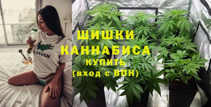 мориарти телеграм  Красноперекопск  МАРИХУАНА THC 21%  купить наркотик 